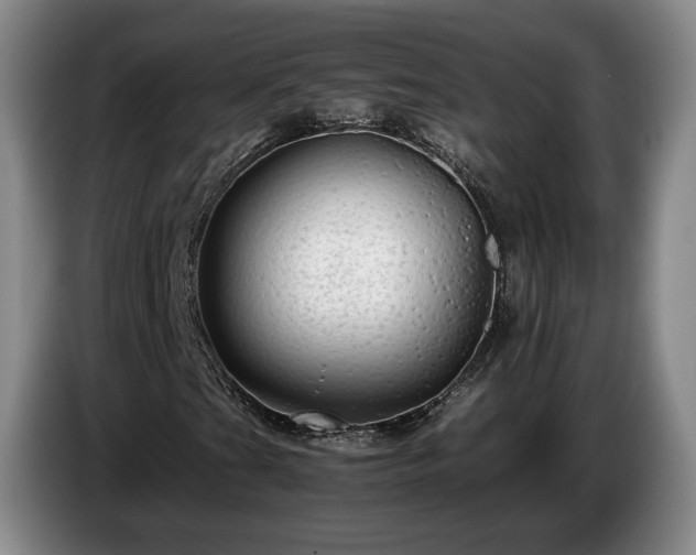 X0000085071201200703121634