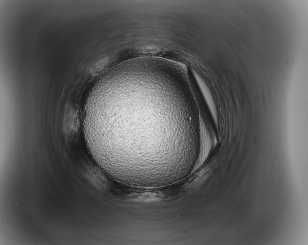 X0000085071204200703121634