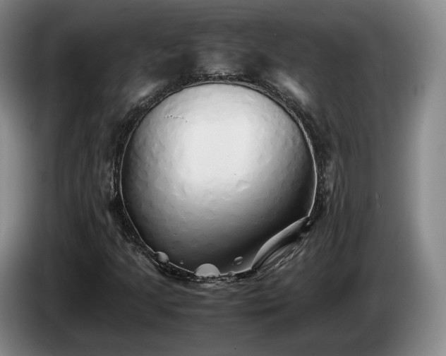 X0000085071205200703121634