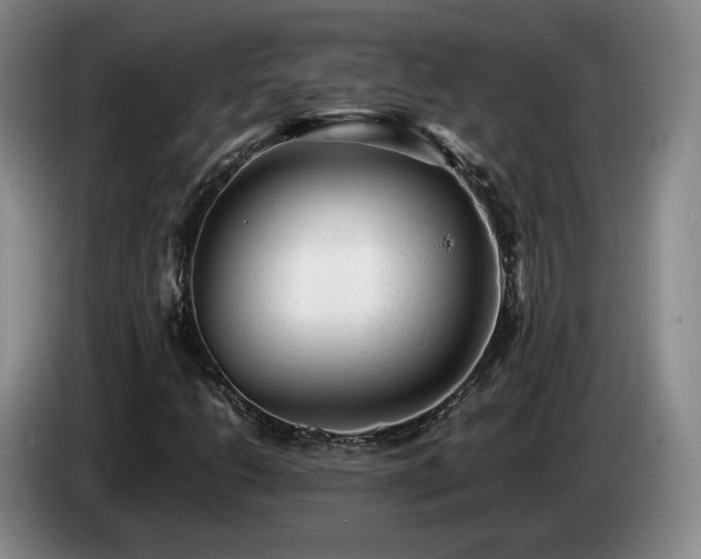 X0000085071206200703121634