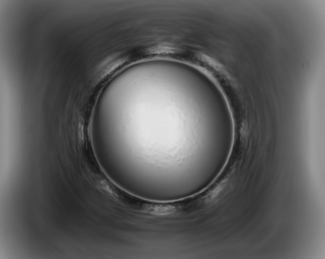 X0000085071209200703121634