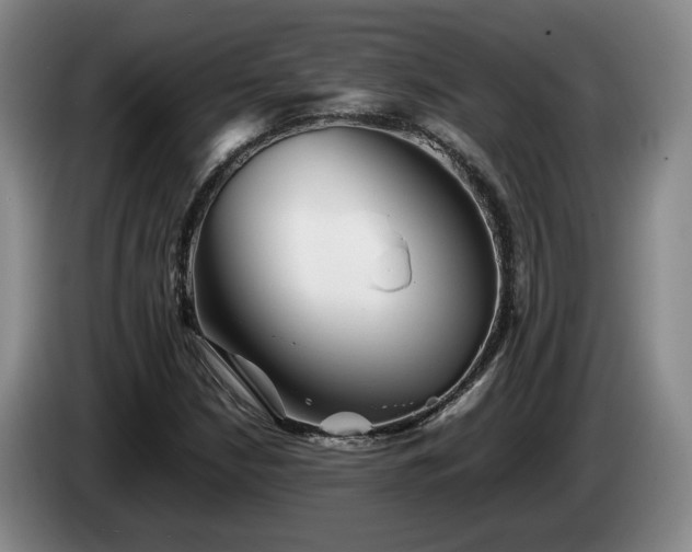 X0000085071210200703121634