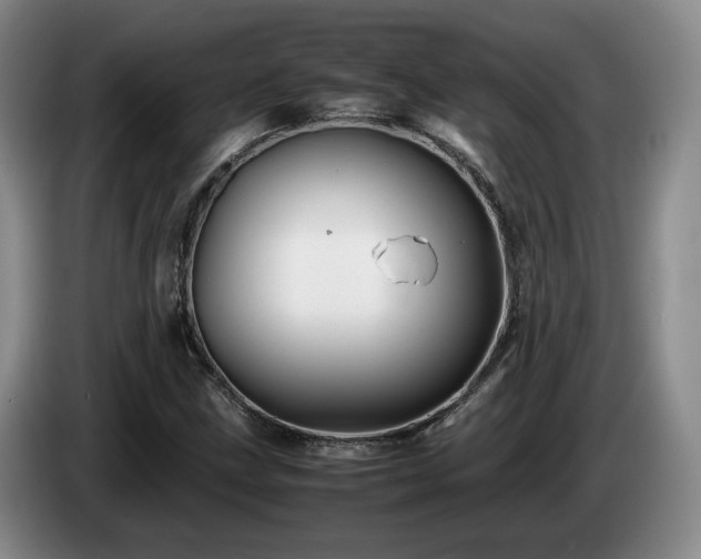 X0000085071211200703121634