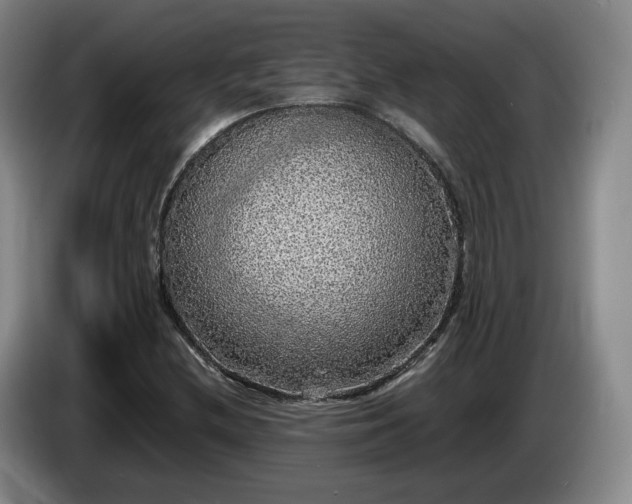 X0000085071212200703121635