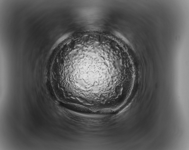 X0000085071213200703121635