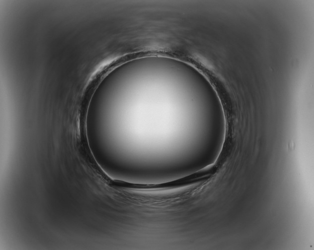 X0000085071214200703121635