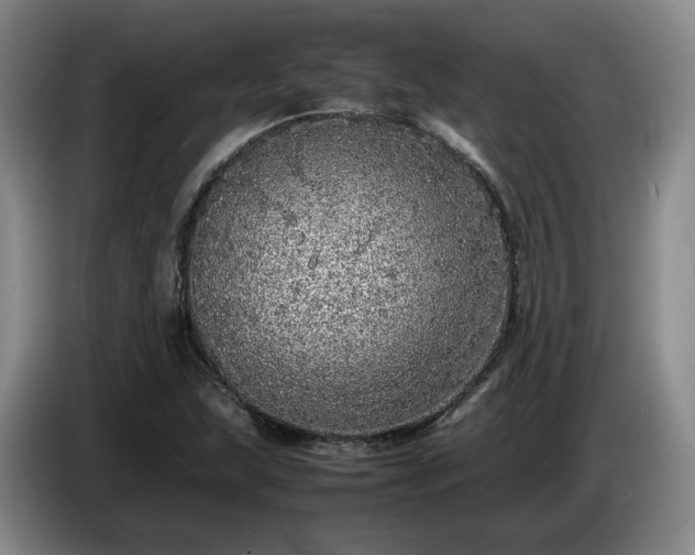 X0000085071215200703121635