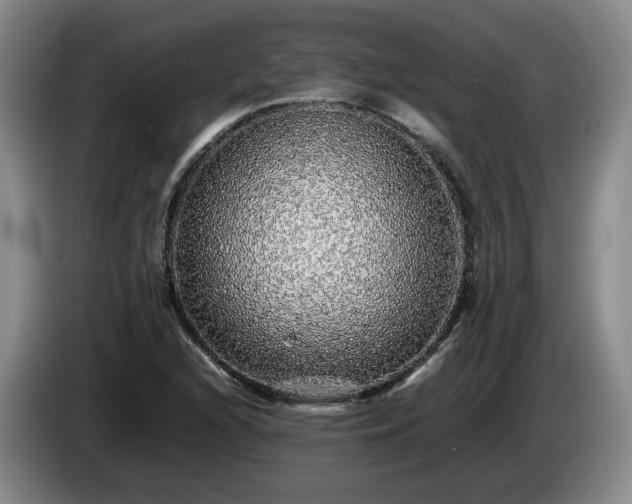 X0000085071216200703121635