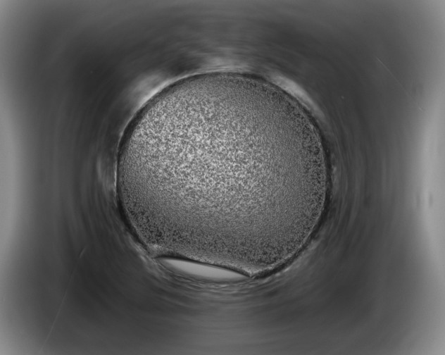 X0000085071220200703121635