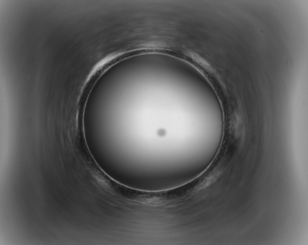 X0000085071222200703121635