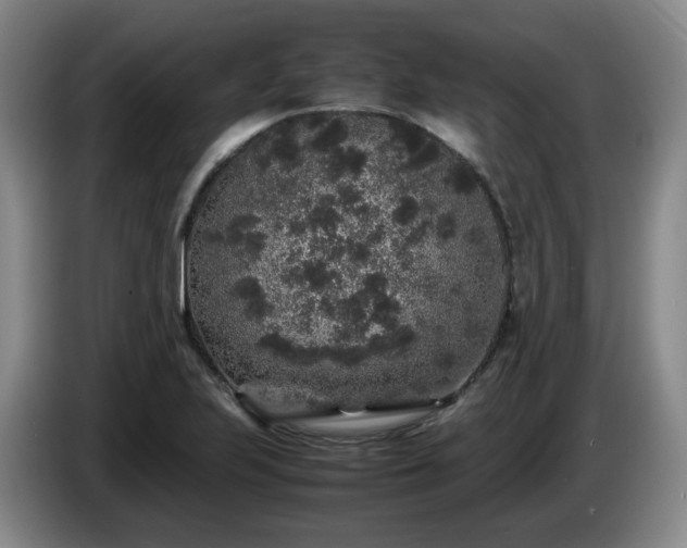 X0000085071223200703121635