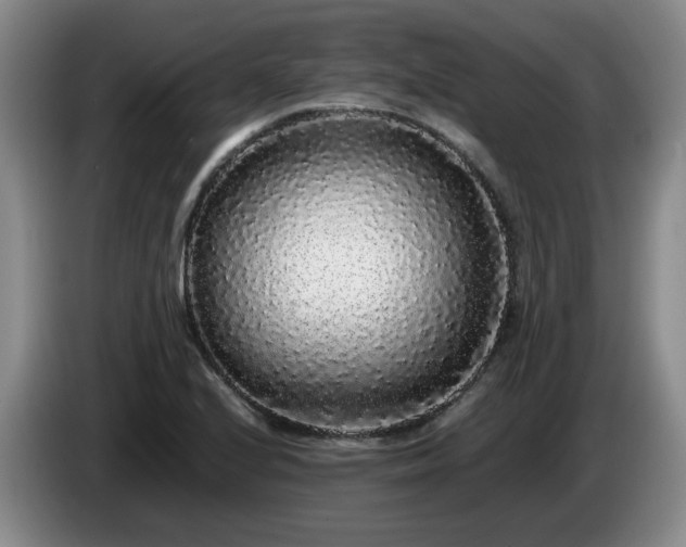 X0000085071224200703121635