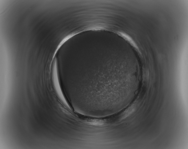 X0000085071226200703121635