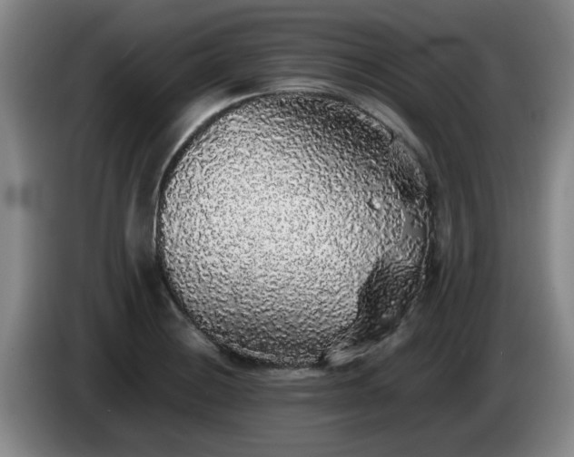 X0000085071228200703121635