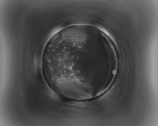 X0000085071229200703121635