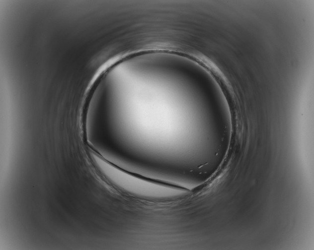 X0000085071230200703121635