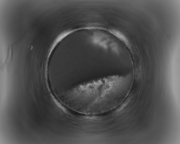 X0000085071231200703121635