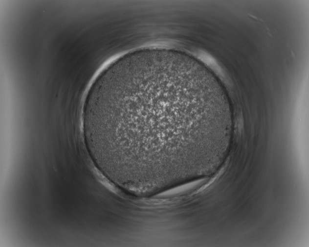 X0000085071232200703121635