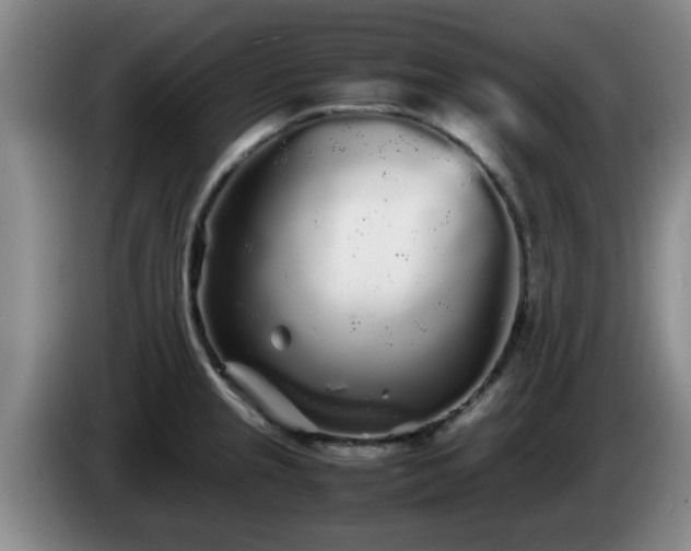 X0000085071237200703121635