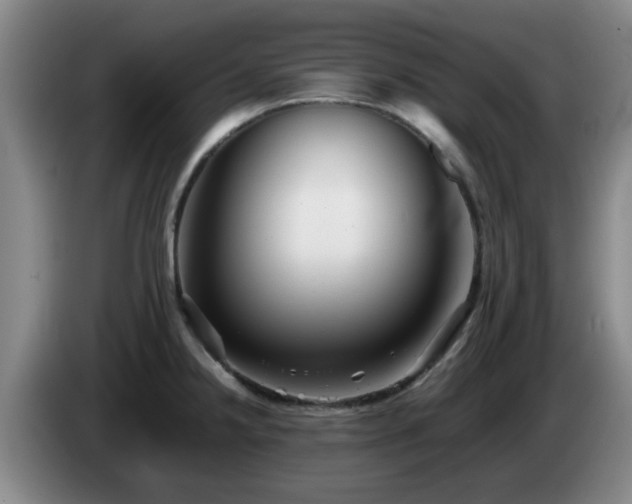 X0000085071238200703121635