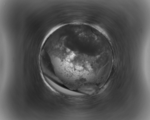 X0000085071239200703121635