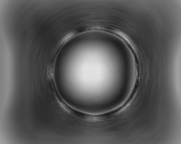 X0000085071241200703121635