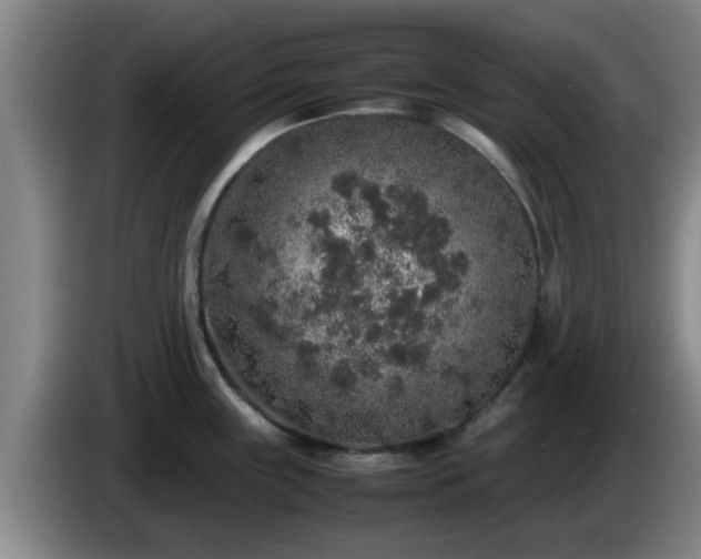 X0000085071243200703121635