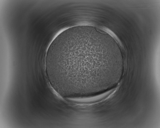 X0000085071244200703121635