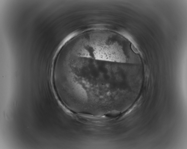 X0000085071245200703121635