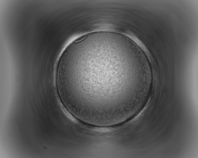 X0000085071246200703121635