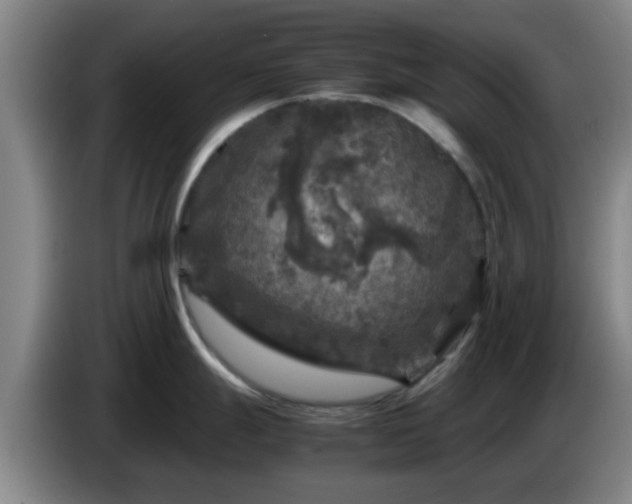 X0000085071247200703121635