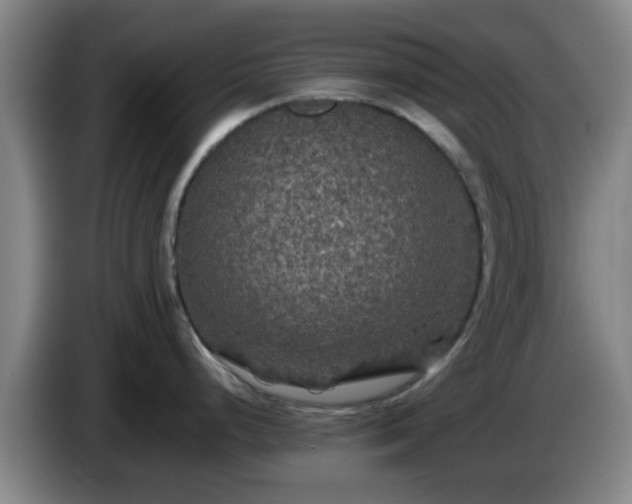 X0000085071248200703121635