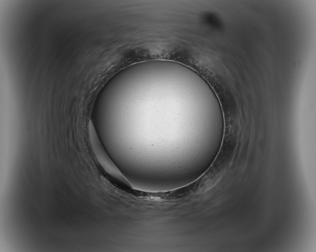 X0000085071249200703121634