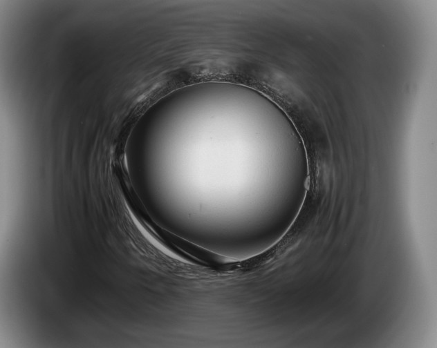 X0000085071250200703121634