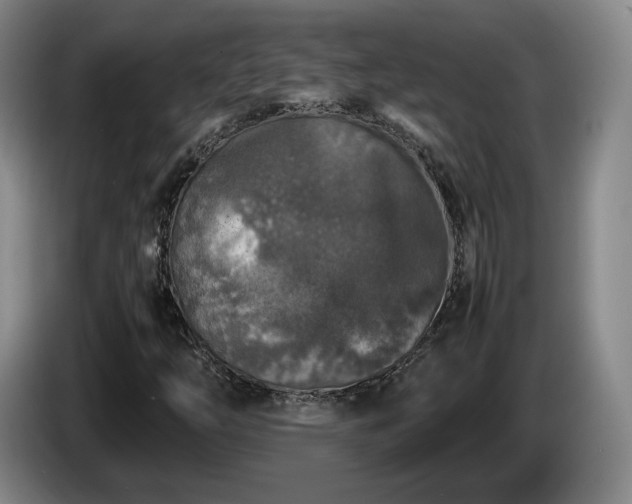 X0000085071254200703121634