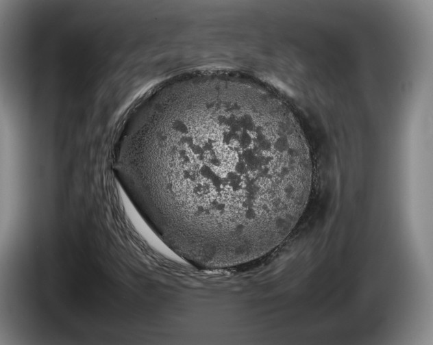 X0000085071255200703121634