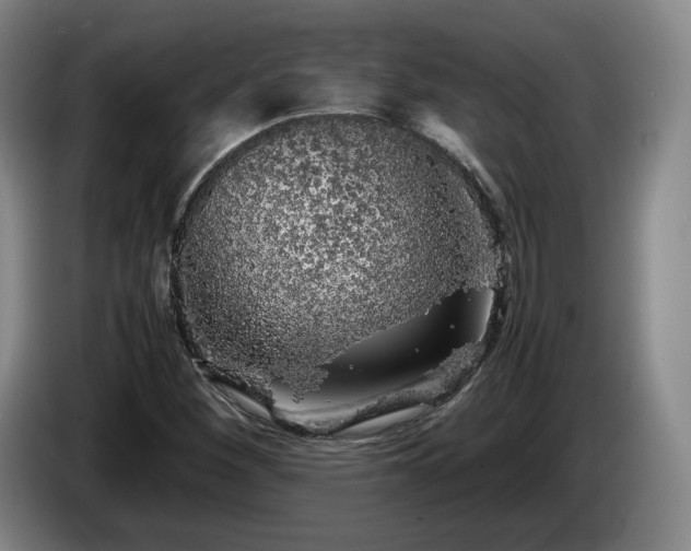 X0000085071260200703121634