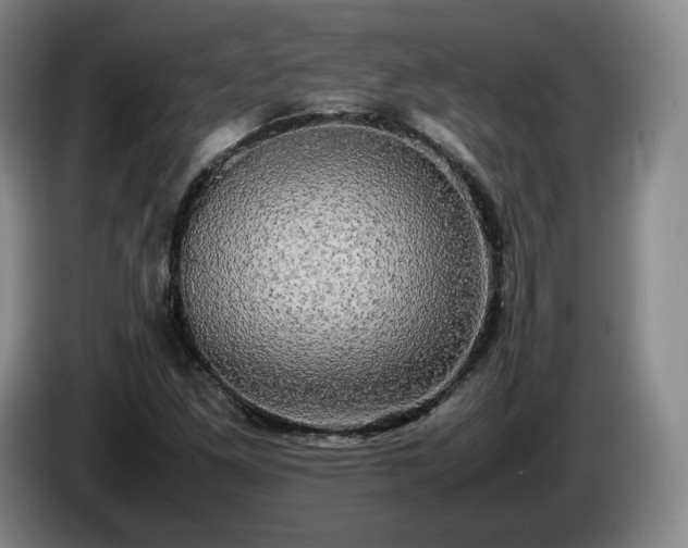 X0000085071261200703121634