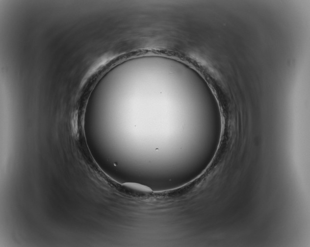 X0000085071262200703121634