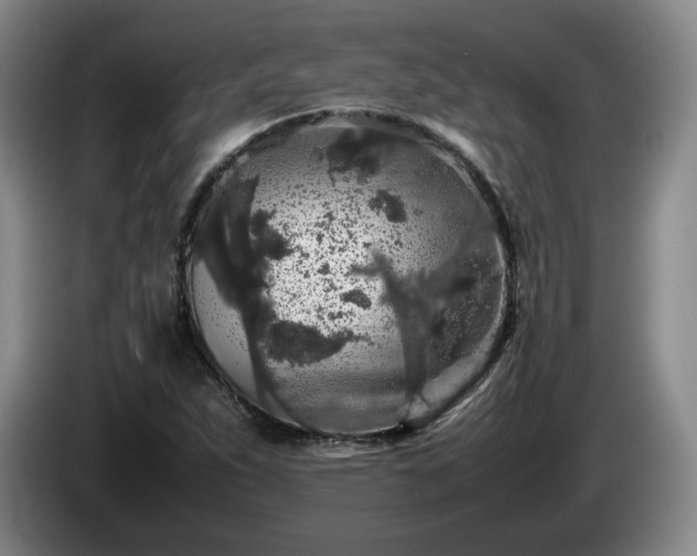 X0000085071263200703121634