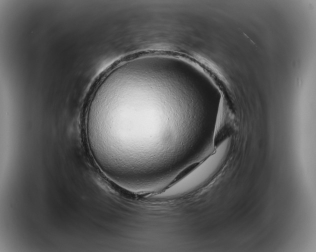 X0000085071264200703121634