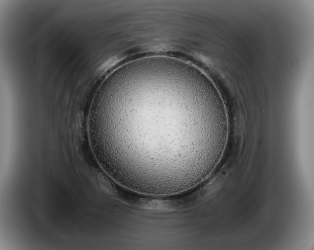 X0000085071265200703121634