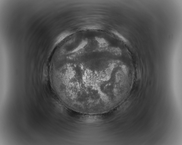 X0000085071266200703121634