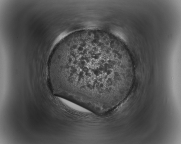 X0000085071267200703121634