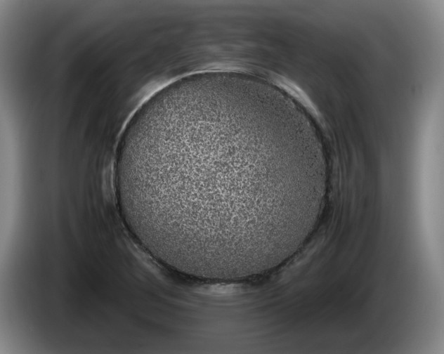 X0000085071268200703121634