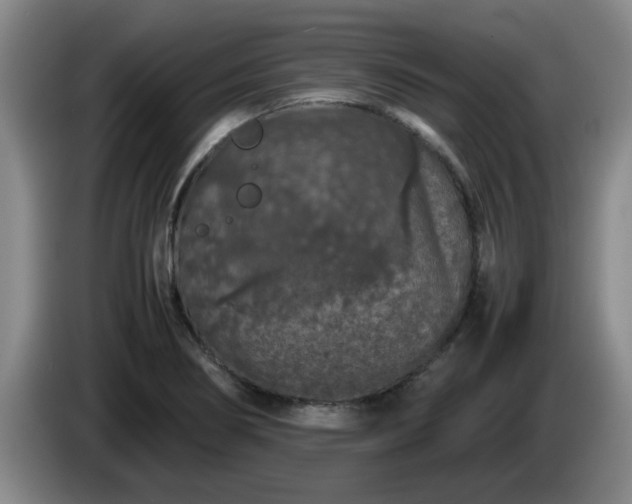 X0000085071274200703121634