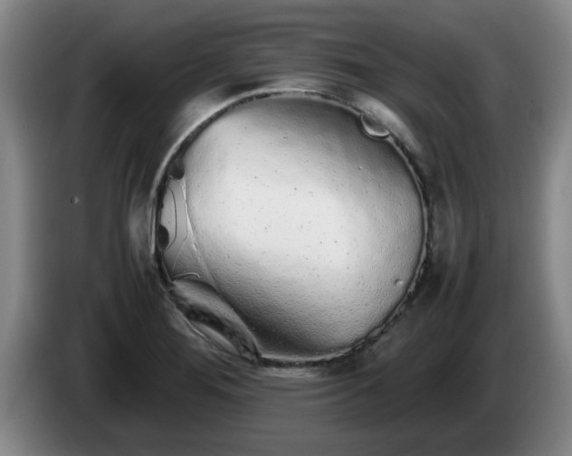 X0000085071276200703121634