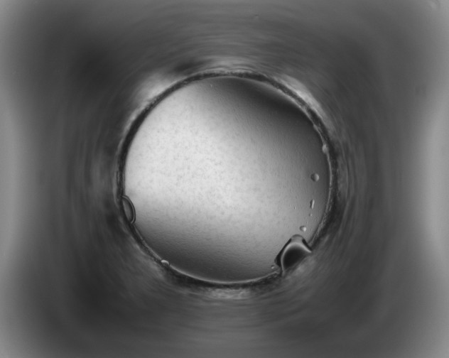 X0000085071277200703121634