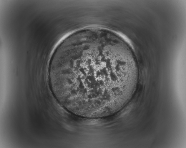 X0000085071279200703121634