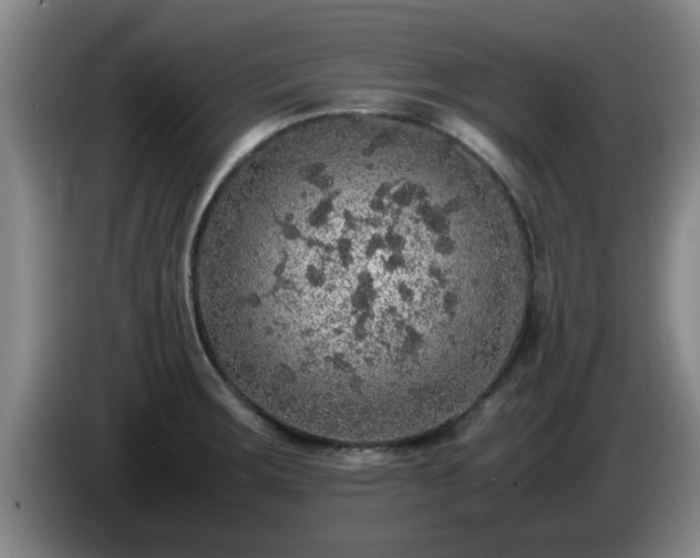 X0000085071283200703121634